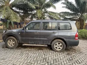 Mitsubishi Pajero 2003 Gray