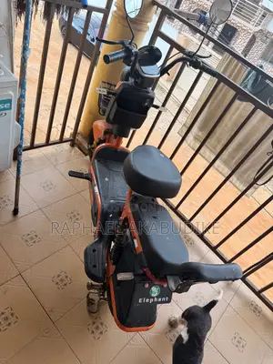 Motorcycle 2025 Orange