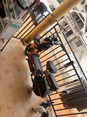 Motorcycle 2025 Orange