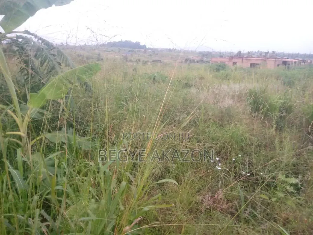 A Plot of Land for Sale at Amasaman Denhire