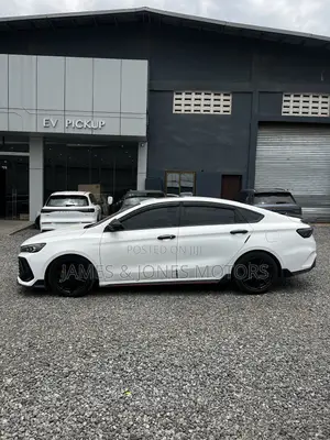 Geely Binray Cool Dianche 2022 White