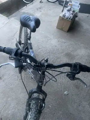 Home Used Bicycle `