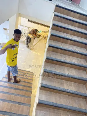 Good Finishing Master