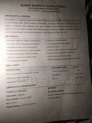 Advertising Marketing CV