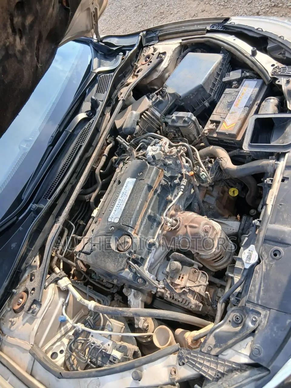 Honda Accord 2014 Gold