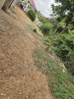Half Plot of Land (30 by 100)for Sale at Ablekuma