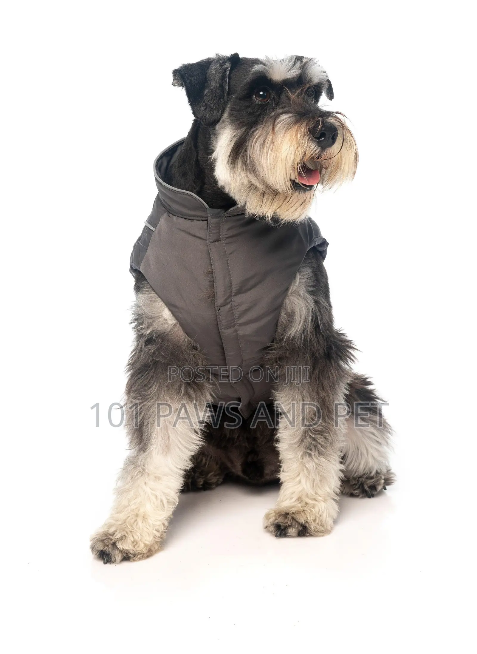 FuzzYard Stormchaser - Dark Grey Pet Jacket