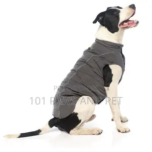 FuzzYard Stormchaser - Dark Grey Pet Jacket