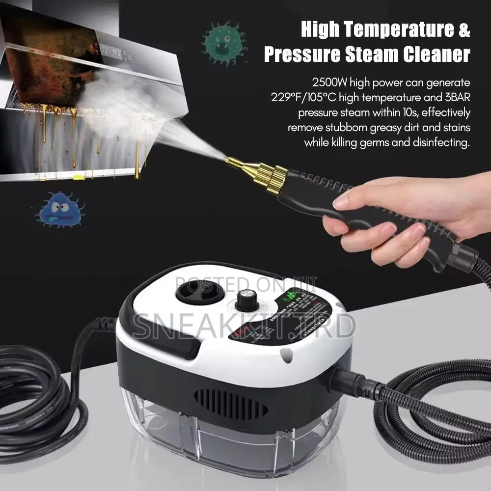 Portable Steaming Cleaner