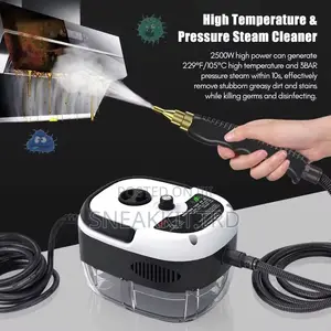 Portable Steaming Cleaner