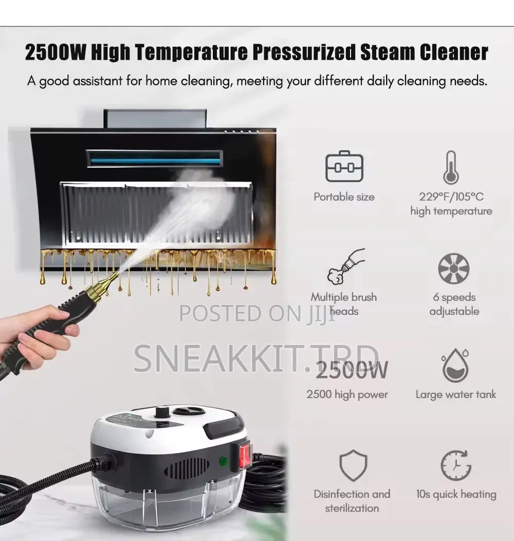 Portable Steaming Cleaner
