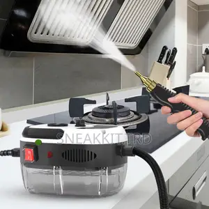 Portable Steaming Cleaner