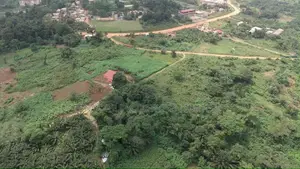 43 Plots of Well-Demarcated, Titled Land at Ayim, Aburi