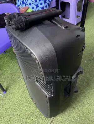 12Inches Bluetooth Rechargeable Speaker With Two Microphones
