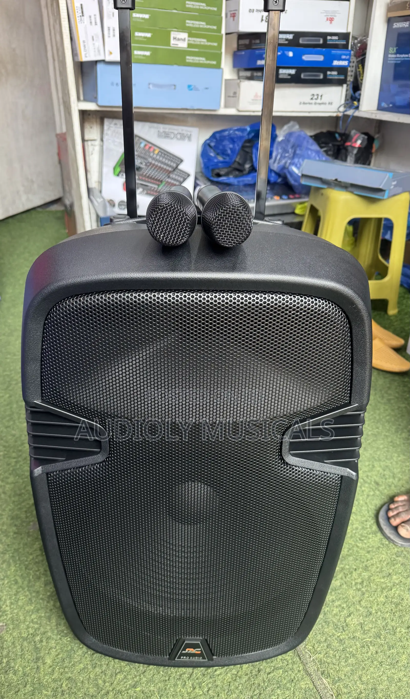 12Inches Bluetooth Rechargeable Speaker With Two Microphones
