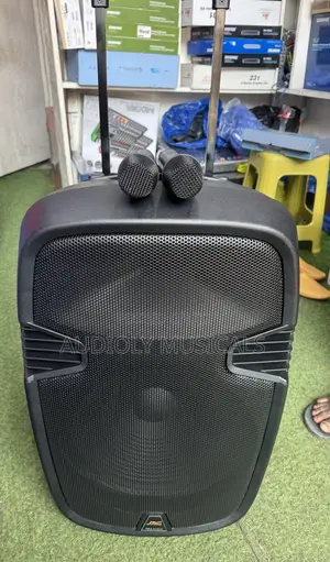 12Inches Bluetooth Rechargeable Speaker With Two Microphones