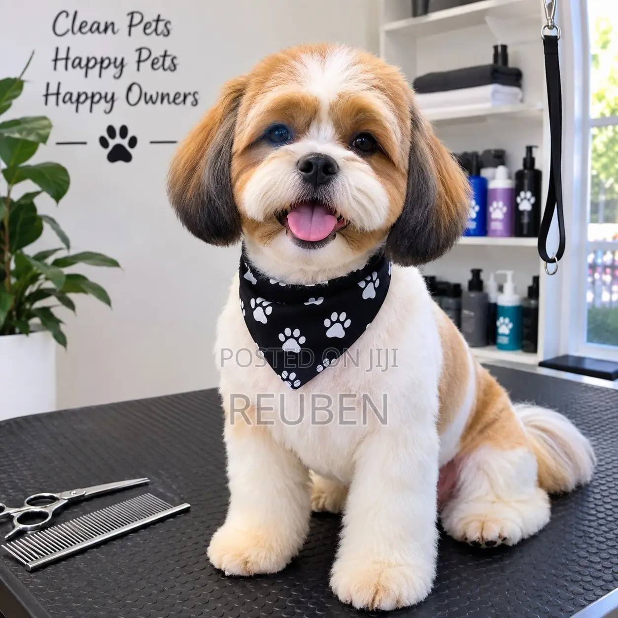 Pet Grooming