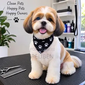 Pet Grooming