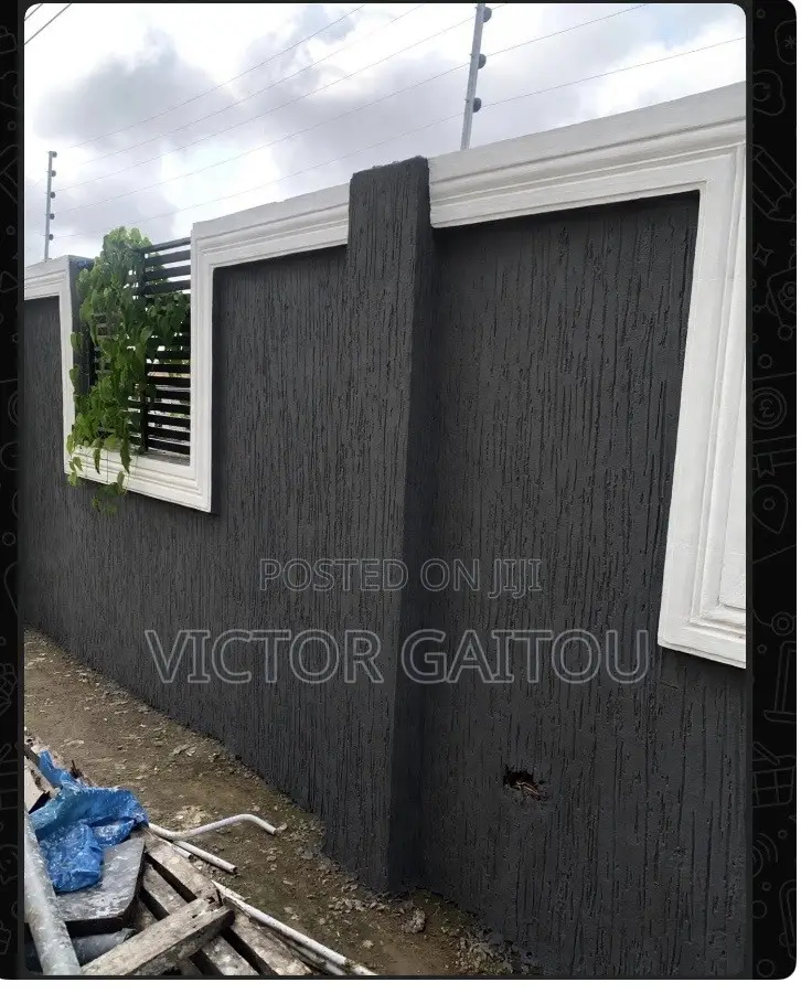 PROFESSIONAL PAINTER - Accra