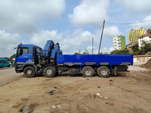 Track Crane Rentals