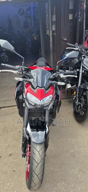 Kawasaki Z900 2024 Red
