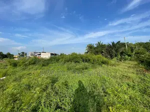 Dawheyna-Afienya Road
