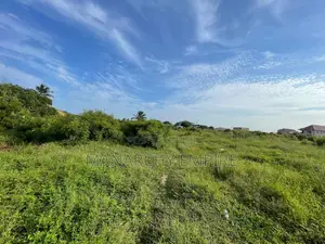 Dawheyna-Afienya Road
