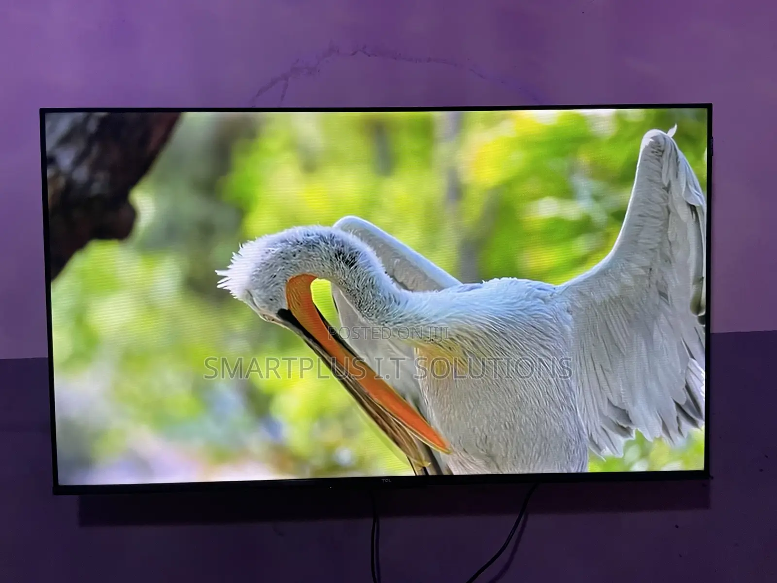 TCL 50-Inch Qled TV