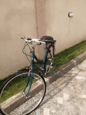 (Bike) Personal Mobility