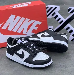 Black and White Nike Dunk Low Retro