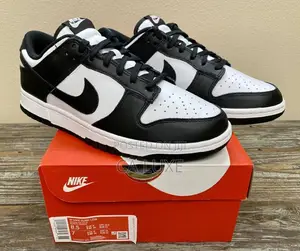 Black and White Nike Dunk Low Retro