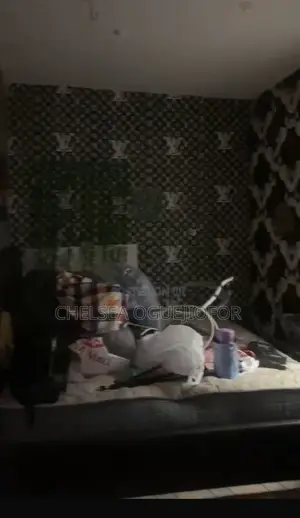 Girls House