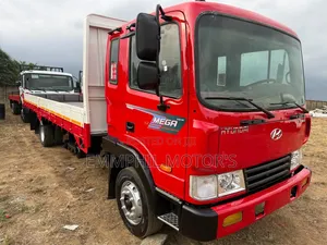 Hyundai Gold Mega. Full Air Break.