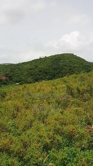5 Acres of Hilltop Land