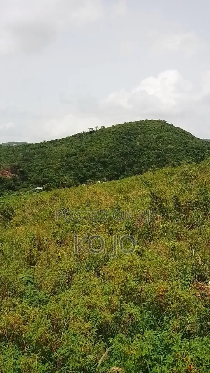 5 Acres of Hilltop Land