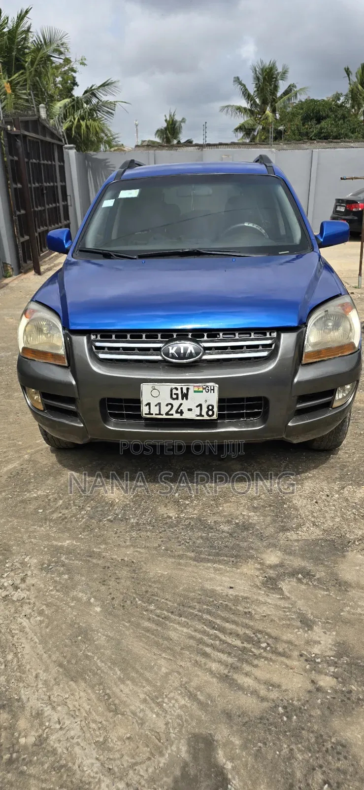 Kia Sportage 2009 Blue