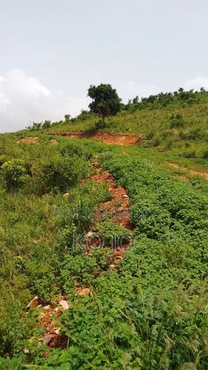 10 Acres of Hillside Land