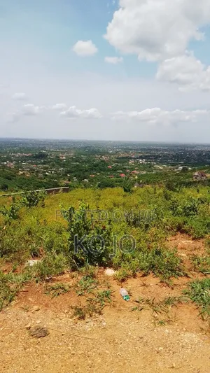 10 Acres of Hillside Land