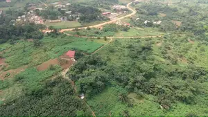 43 Plots of Well-Demarcated, Titled Land at Ayim, Aburi,