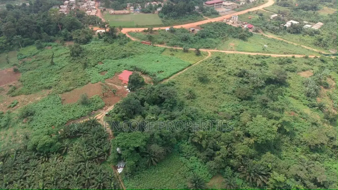 43 Plots of Well-Demarcated, Titled Land at Ayim, Aburi,