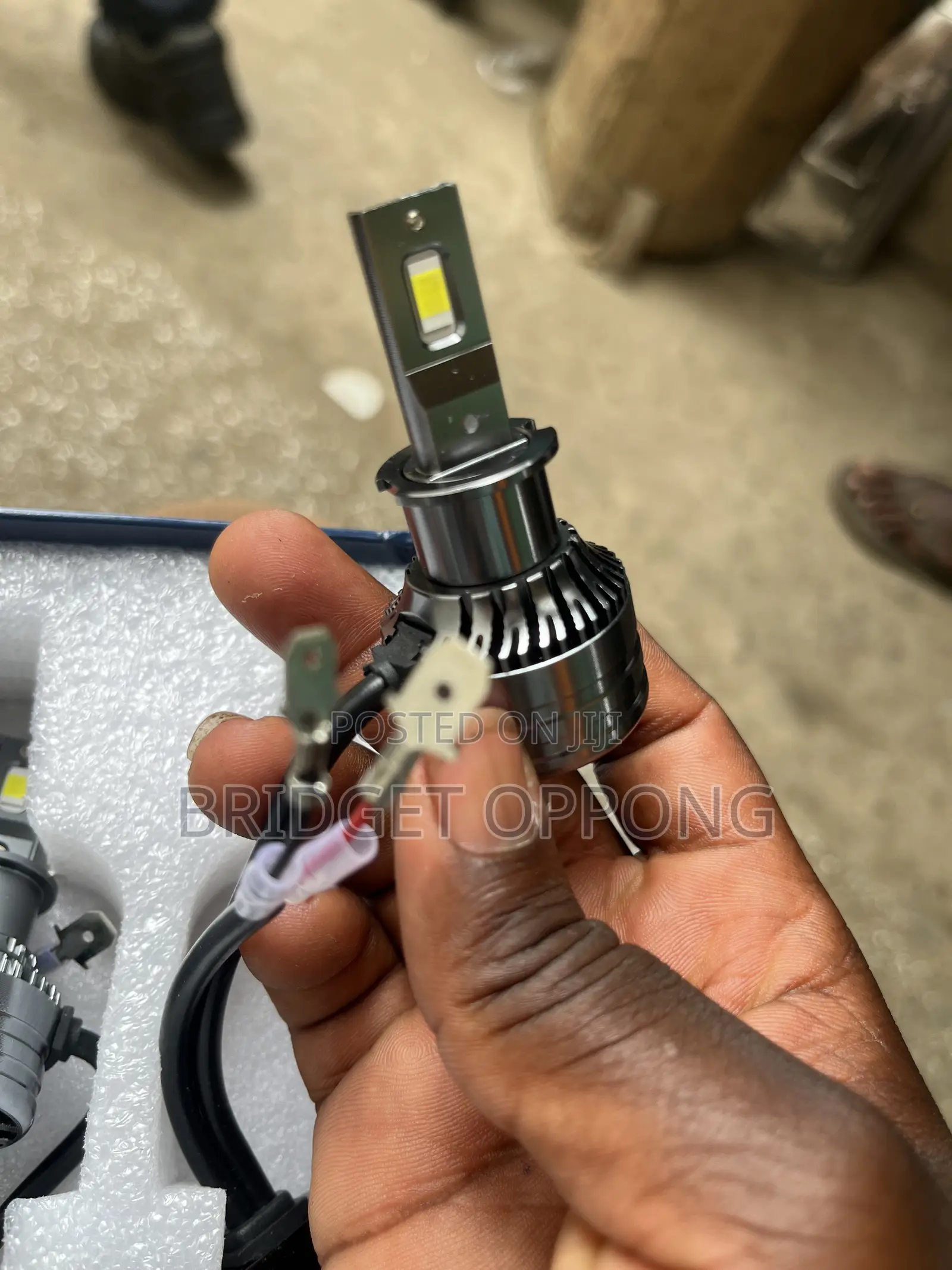 Willtop Bulb