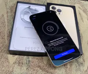 Apple iPhone 13 Pro Max 256 GB Gold