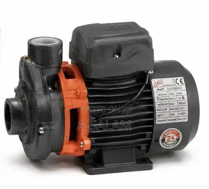 0.5HP Surface Water Pump Leo