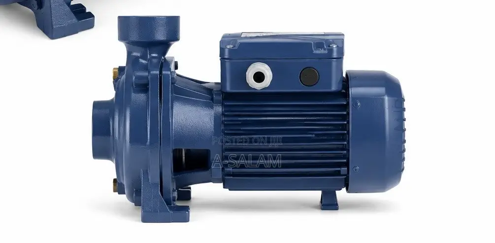 PEDROLLO 1.5HP Surface Water Pump