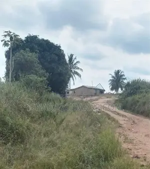 1 Plot Roadside Land at Ashifra