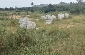 1 Plot Roadside Land at Ashifra