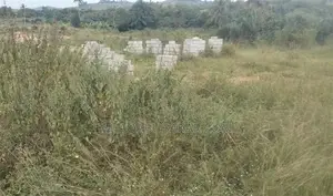 1 Plot Roadside Land at Ashifra