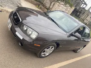 Hyundai Elantra 2004 Gray
