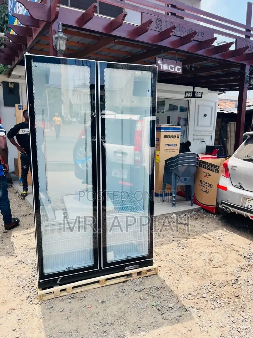 Extremely Authentic Pearl 2 Door Electric Display Fridge(Black)