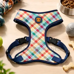 Zee.Dog Blocks Air Mesh Dog Harness
